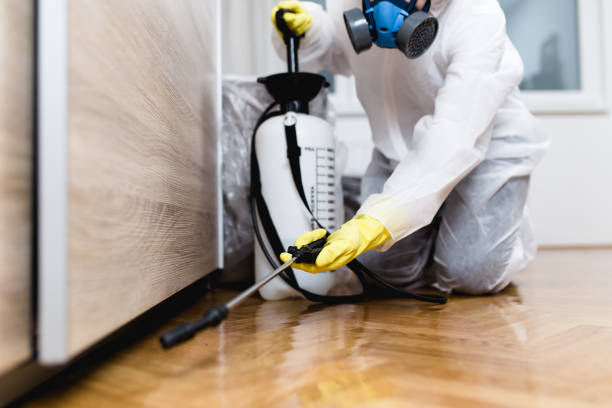 Trusted Loretto, TN Pest Control Experts