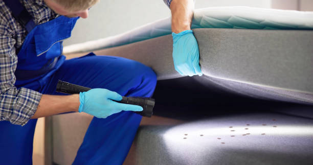 Best Wasp Removal Services  in Loretto, TN
