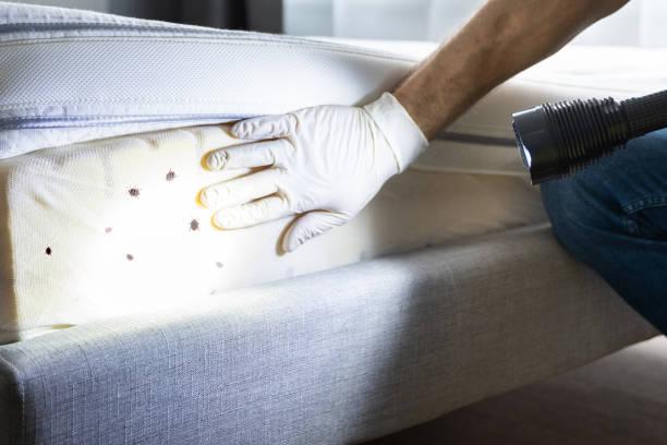 Best Commercial Pest Control Services  in Loretto, TN