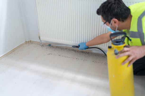 Best Exterminator Services  in Loretto, TN