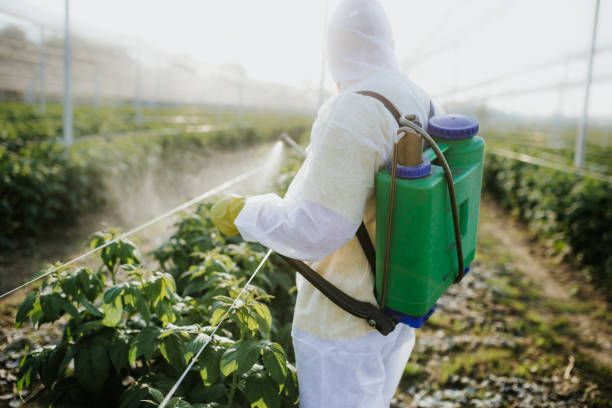 Pest Control Cost in Loretto, TN